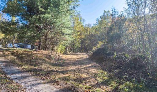 Photo #15 of TBD PEACEFUL LN, LOVINGSTON, VA 47.1 acres