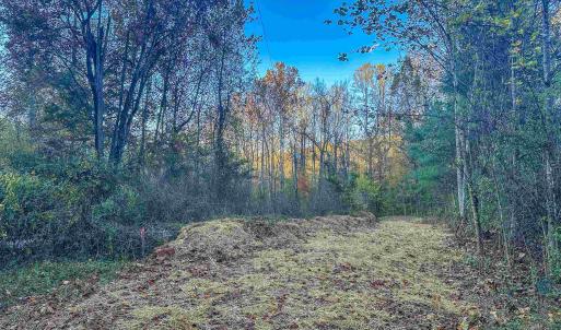 Photo #19 of TBD PEACEFUL LN, LOVINGSTON, VA 47.1 acres