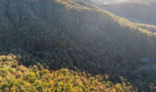 Photo #39 of TBD PEACEFUL LN, LOVINGSTON, VA 47.1 acres