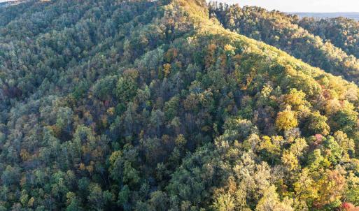 Photo #37 of TBD PEACEFUL LN, LOVINGSTON, VA 47.1 acres