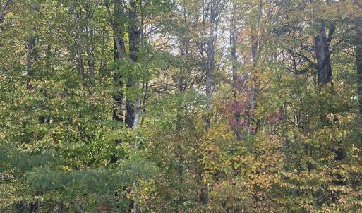 Photo #2 of CHAPEL DR, BUMPASS, VA 5.0 acres