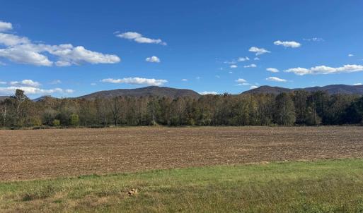 Photo #20 of tbd lot 4 ISLAND FORD RD, ELKTON, VA 2.5 acres