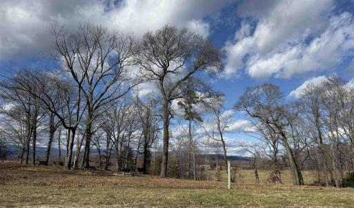 Photo #1 of OLD HOMEPLACE LN, BRIGHTWOOD, VA 51.2 acres