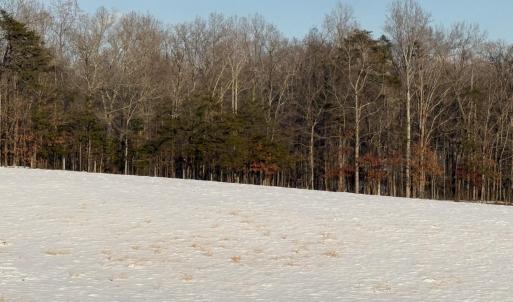 Photo #13 of OLD HOMEPLACE LN, BRIGHTWOOD, VA 51.2 acres