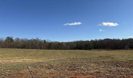 Photo #3 of OLD HOMEPLACE LN, BRIGHTWOOD, VA 51.2 acres