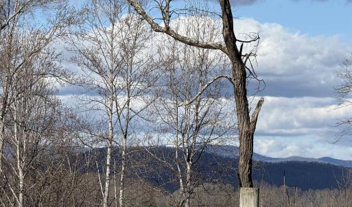 Photo #7 of OLD HOMEPLACE LN, BRIGHTWOOD, VA 51.2 acres