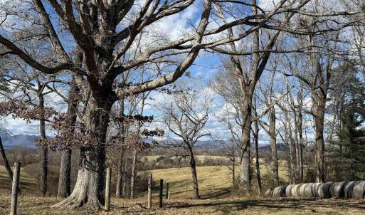 Photo #8 of OLD HOMEPLACE LN, BRIGHTWOOD, VA 51.2 acres