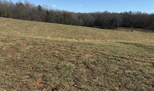 Photo #6 of OLD HOMEPLACE LN, BRIGHTWOOD, VA 51.2 acres