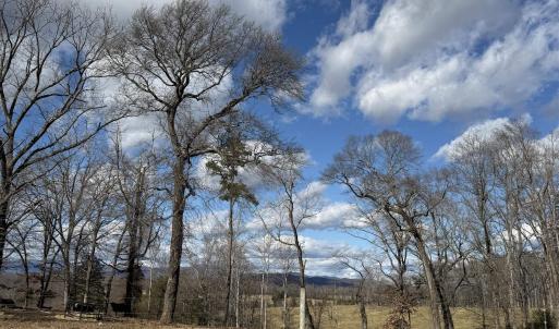 Photo #9 of OLD HOMEPLACE LN, BRIGHTWOOD, VA 51.2 acres