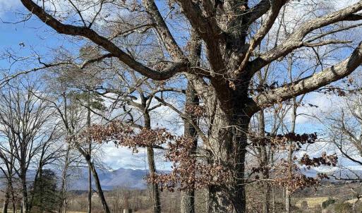 Photo #2 of OLD HOMEPLACE LN, BRIGHTWOOD, VA 51.2 acres