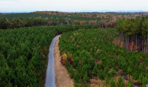 Photo #34 of TBA RIDGE RD, ARVONIA, VA 26.9 acres