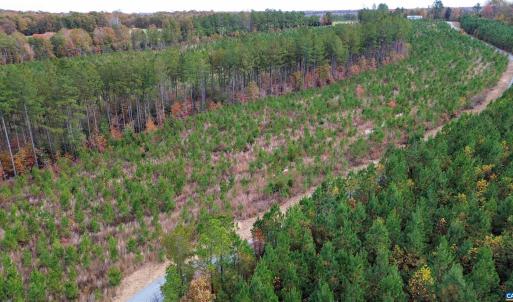 Photo #4 of TBA RIDGE RD, ARVONIA, VA 26.9 acres