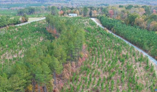 Photo #5 of TBA RIDGE RD, ARVONIA, VA 26.9 acres