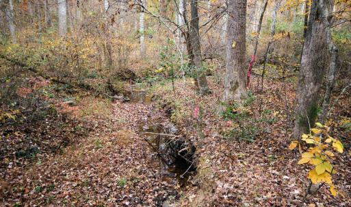 Photo #16 of TBA RIDGE RD, ARVONIA, VA 26.9 acres