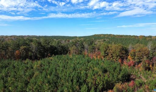 Photo #51 of TBA RIDGE RD, ARVONIA, VA 26.9 acres