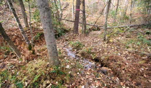 Photo #22 of TBA RIDGE RD, ARVONIA, VA 26.9 acres
