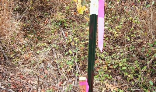 Photo #20 of TBA RIDGE RD, ARVONIA, VA 26.9 acres