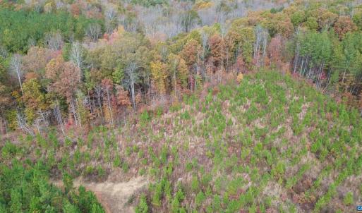 Photo #39 of TBA RIDGE RD, ARVONIA, VA 26.9 acres