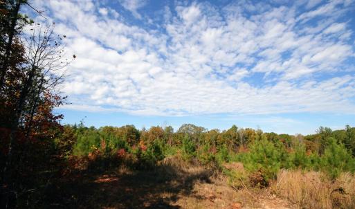 Photo #49 of TBA RIDGE RD, ARVONIA, VA 26.9 acres