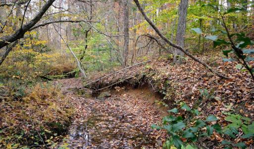 Photo #13 of TBA RIDGE RD, ARVONIA, VA 26.9 acres