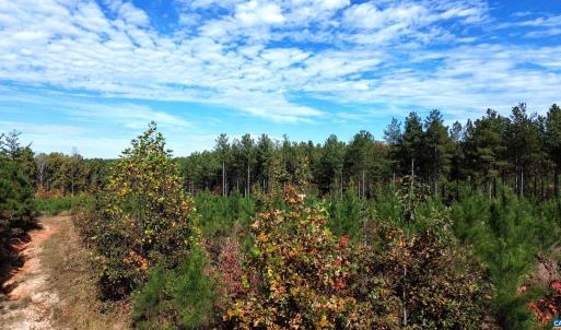 Photo #46 of TBA RIDGE RD, ARVONIA, VA 26.9 acres