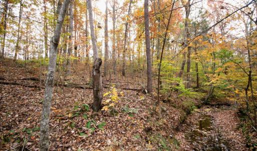 Photo #17 of TBA RIDGE RD, ARVONIA, VA 26.9 acres