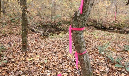 Photo #18 of TBA RIDGE RD, ARVONIA, VA 26.9 acres