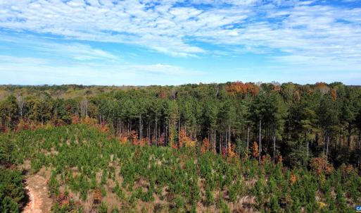 Photo #50 of TBA RIDGE RD, ARVONIA, VA 26.9 acres