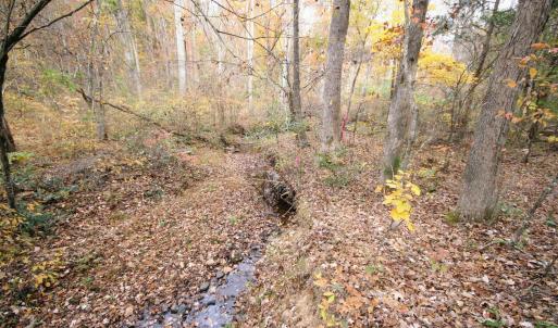 Photo #15 of TBA RIDGE RD, ARVONIA, VA 26.9 acres