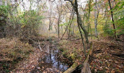 Photo #10 of TBA RIDGE RD, ARVONIA, VA 26.9 acres