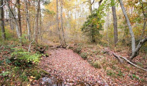 Photo #8 of TBA RIDGE RD, ARVONIA, VA 26.9 acres