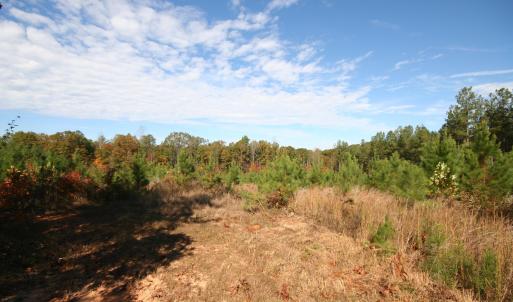 Photo #47 of TBA RIDGE RD, ARVONIA, VA 26.9 acres