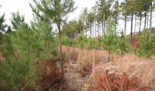 Photo #29 of TBA RIDGE RD, ARVONIA, VA 26.9 acres