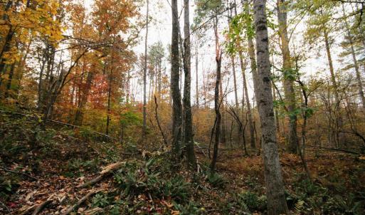 Photo #5 of TBA RIDGE RD, ARVONIA, VA 26.9 acres
