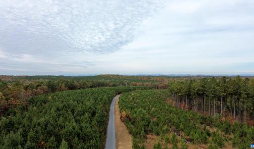 Photo #30 of TBA RIDGE RD, ARVONIA, VA 26.9 acres