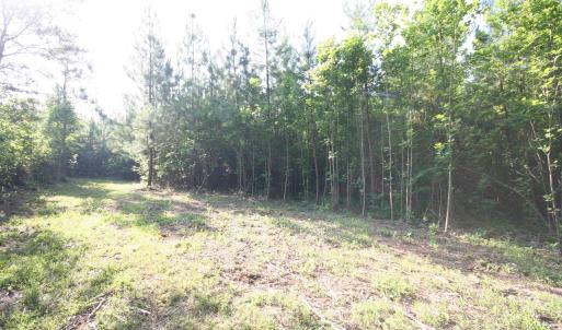 Photo #48 of TBA RIDGE RD, ARVONIA, VA 26.9 acres