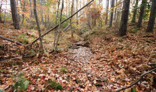 Photo #22 of TBA RIDGE RD, ARVONIA, VA 26.9 acres