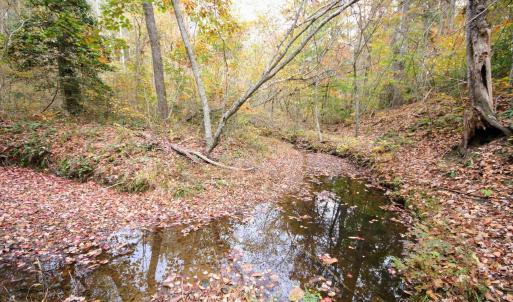 Photo #6 of TBA RIDGE RD, ARVONIA, VA 26.9 acres