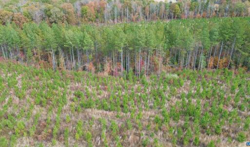 Photo #39 of TBA RIDGE RD, ARVONIA, VA 26.9 acres
