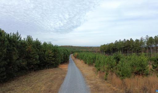 Photo #29 of TBA RIDGE RD, ARVONIA, VA 26.9 acres