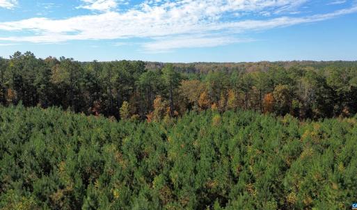 Photo #50 of TBA RIDGE RD, ARVONIA, VA 26.9 acres