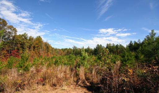 Photo #47 of TBA RIDGE RD, ARVONIA, VA 26.9 acres