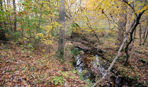Photo #13 of TBA RIDGE RD, ARVONIA, VA 26.9 acres