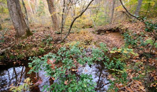 Photo #10 of TBA RIDGE RD, ARVONIA, VA 26.9 acres