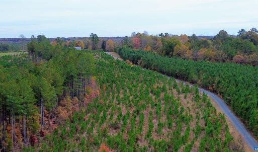 Photo #41 of TBA RIDGE RD, ARVONIA, VA 26.9 acres