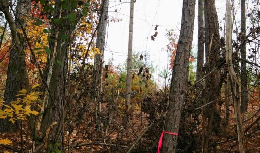 Photo #24 of TBA RIDGE RD, ARVONIA, VA 26.9 acres