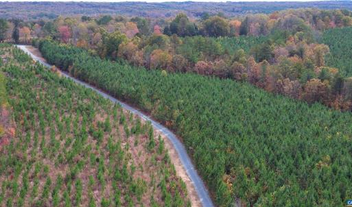 Photo #44 of TBA RIDGE RD, ARVONIA, VA 26.9 acres
