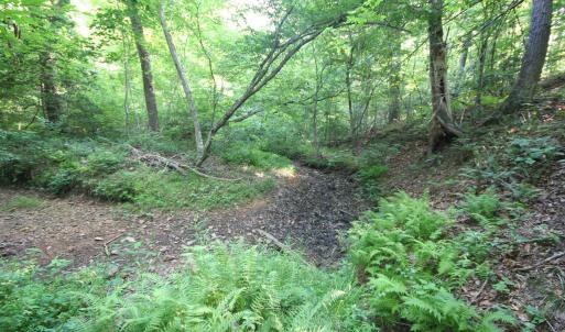 Photo #46 of TBA RIDGE RD, ARVONIA, VA 26.9 acres