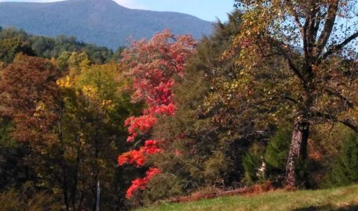 Photo #9 of TAYLOR CREEK RD, AFTON, VA 4.5 acres
