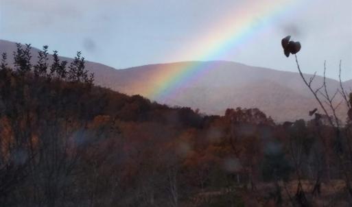 Photo #12 of TAYLOR CREEK RD, AFTON, VA 4.5 acres